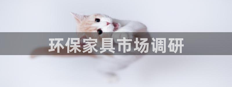 杏耀代理日工资多少