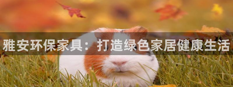 杏耀平台登陆测速