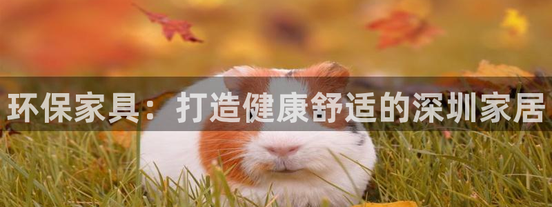 杏耀平台代理怎么赚钱快