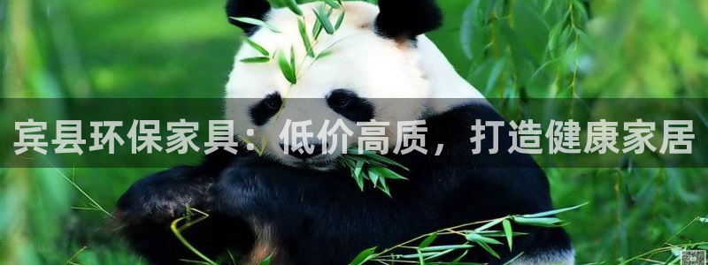 杏耀代理日工资多少