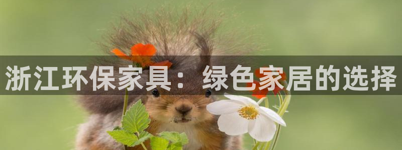 杏耀是什么平台