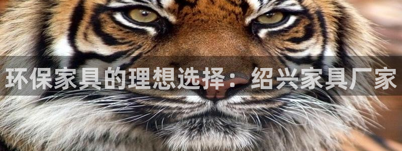 杏耀平台服务中心：环保家具的理想选择：绍兴家具厂家