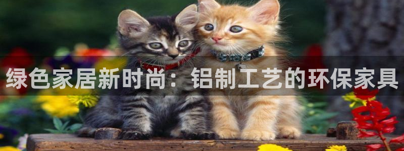 杏耀平台测