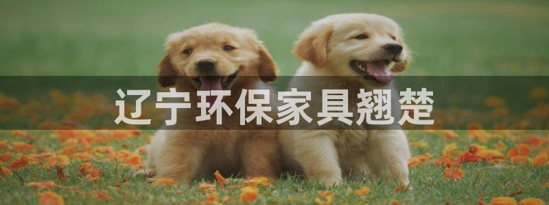 杏耀平台怎么样：辽宁环保家具翘楚