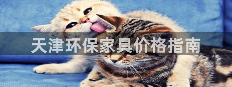 杏耀平台的专用通道
