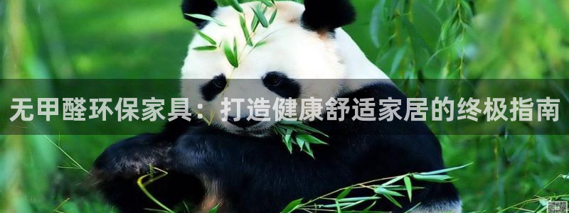 杏耀平台线路测试：无甲醛环保家具：打造健康舒适家居的终极指南