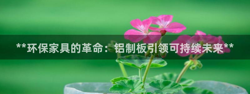 杏耀平台线路测速