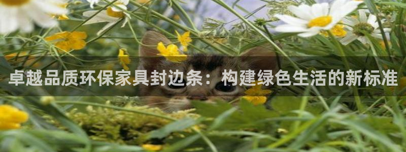 杏耀平台服务中心怎么样：卓越品质环保家具封边条：构建绿色生活
