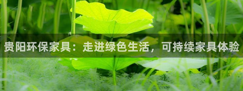 杏耀注册地址：贵阳环保家具：走进绿色生活，可持续家具体验