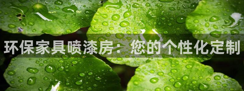 杏耀平台服务中心电话号码：环保家具喷漆房：您的个性化定制