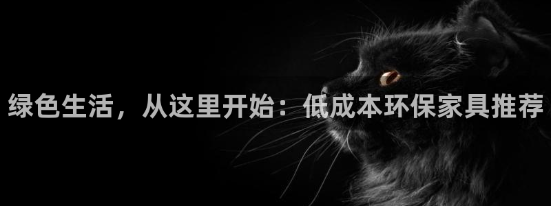 杏耀官网登陆：绿色生活，从这里开始：低成本环保家具推荐