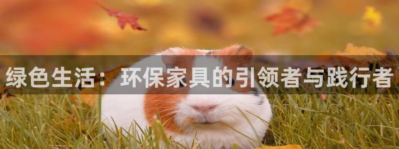 杏耀登陆网站：绿色生活：环保家具的引领者与践行者
