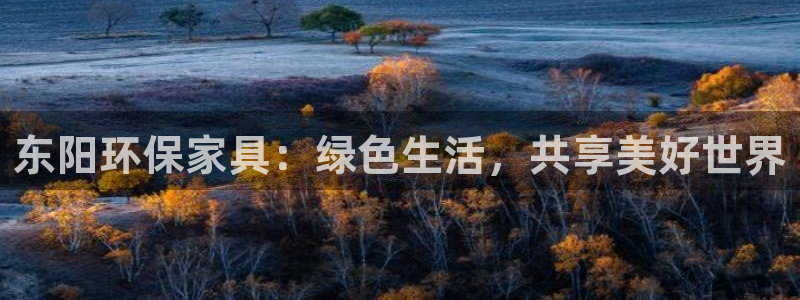 杏耀平台首页：东阳环保家具：绿色生活，共享美好世界