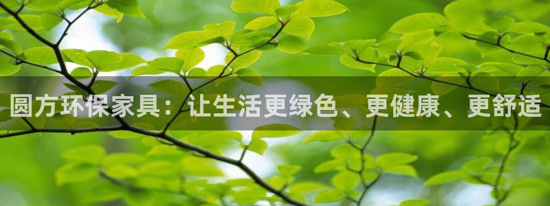 杏耀平台代理怎么赚钱的
