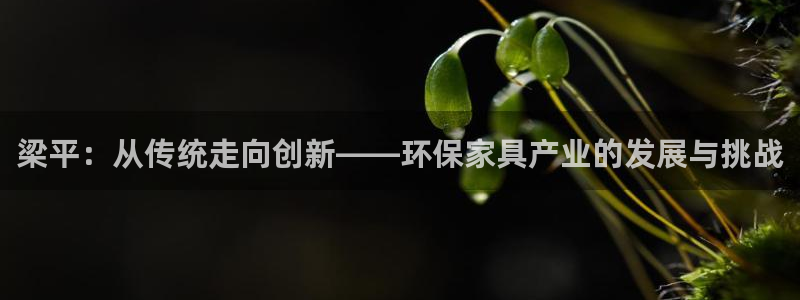 杏耀平台代理登录网址查询：梁平：从传统走向创新——环保家具产
