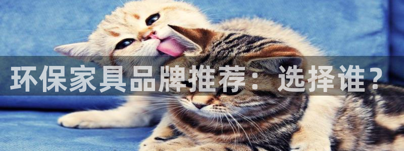 杏耀注册登录中心：环保家具品牌推荐：选择谁？