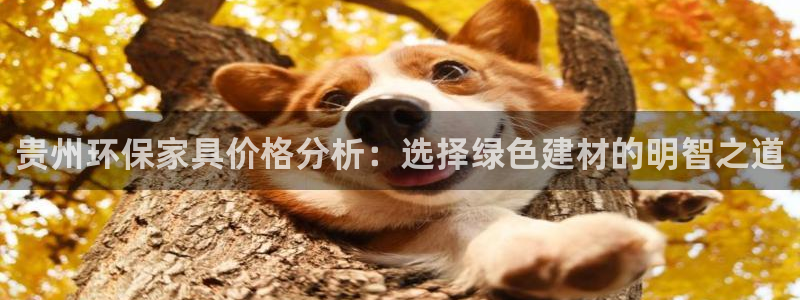 杏耀注册登陆：贵州环保家具价格分析：选择绿色建材的明智之道
