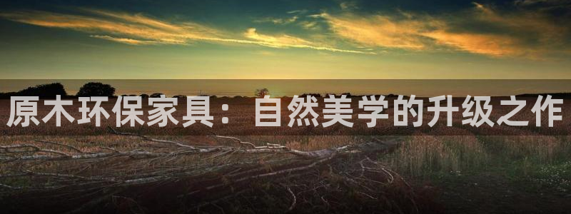 杏耀平台官网登录：原木环保家具：自然美学的升级之作