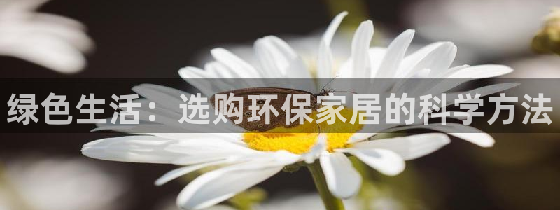 杏耀平台指定