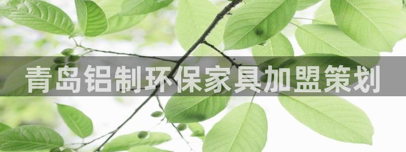 杏耀平台正规么：青岛铝制环保家具加盟策划