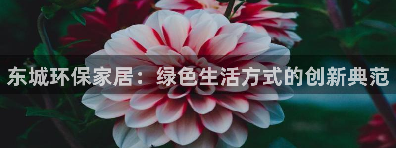 杏耀官方