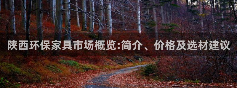 杏耀代理主管qq：陕西环保家具市场概览:简介、价格及选材建议
