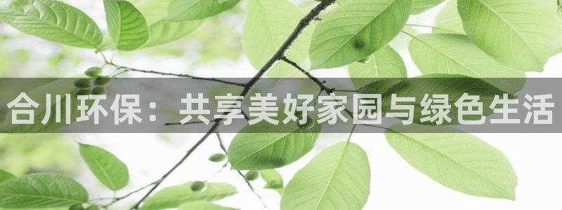 杏耀是什么平台：合川环保：共享美好家园与绿色生活