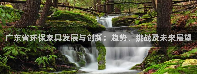 杏耀平台怎么样：广东省环保家具发展与创新：趋势、挑战及未来展
